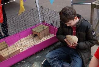 Doves